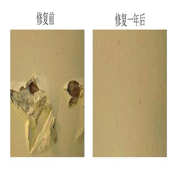 墻面抗堿劑